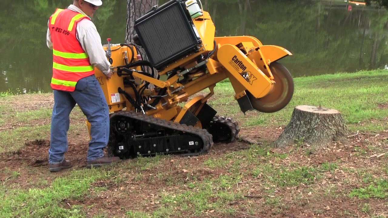 tree pa service removal services county
