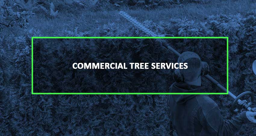 commercial-service-blue