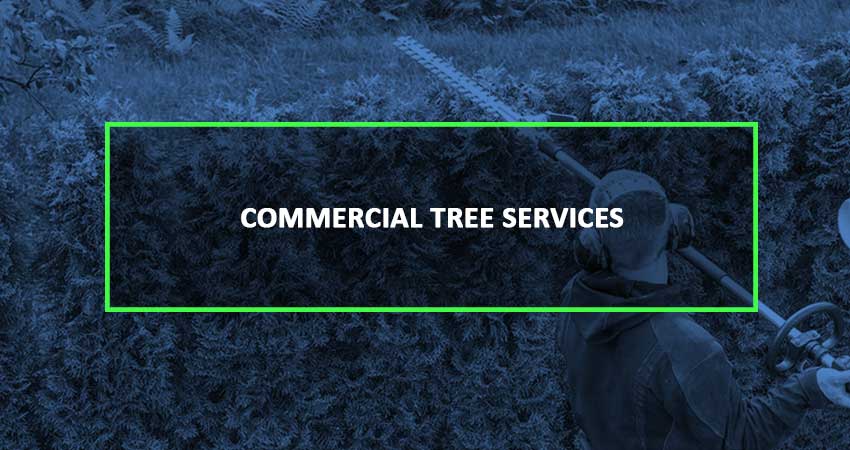 commercial-service-blue