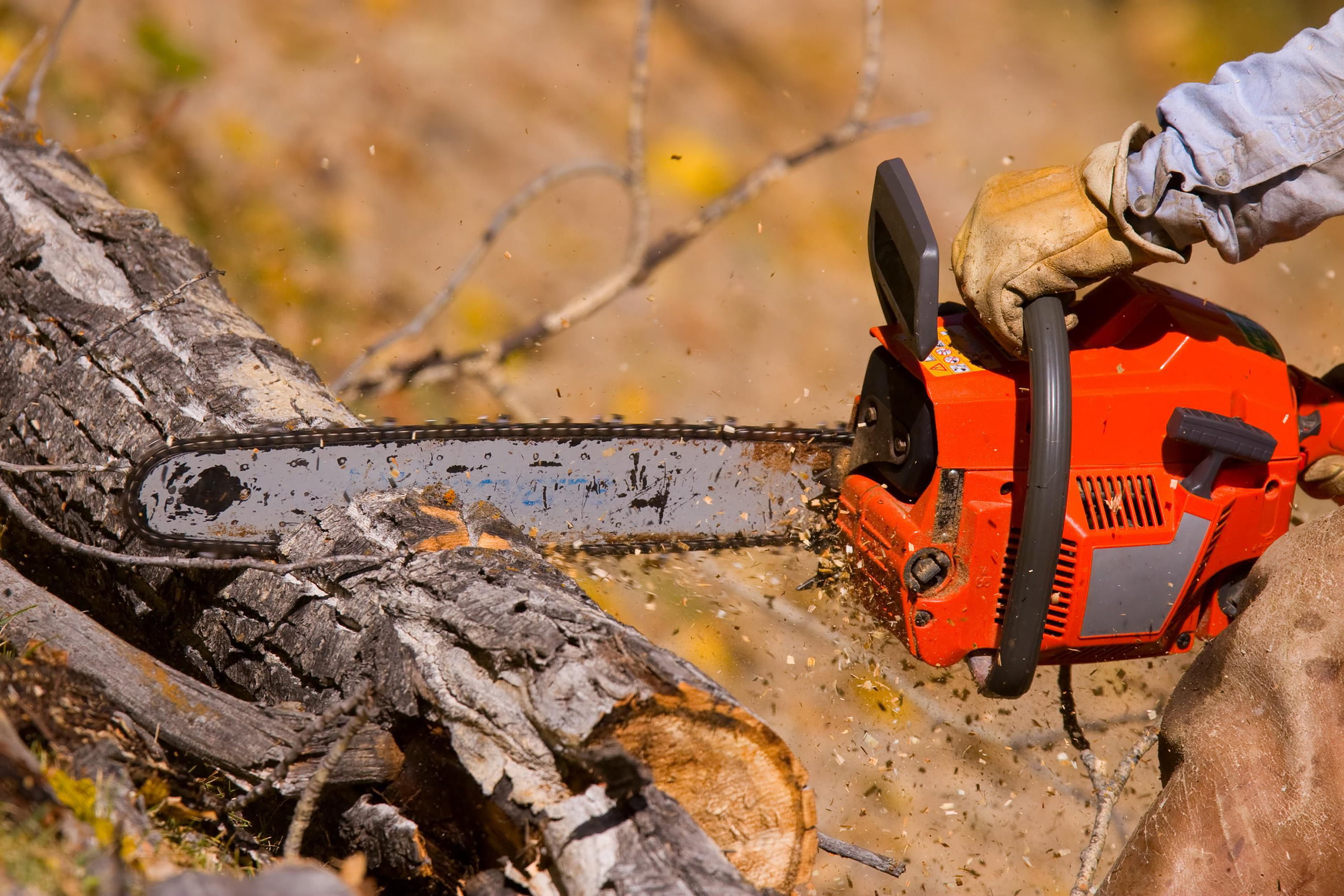 tree removal bucks county pa
